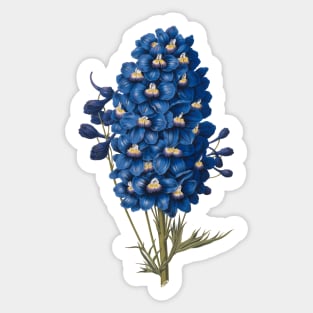 Delft  Blue Ephemera Delphinium Flower Sticker